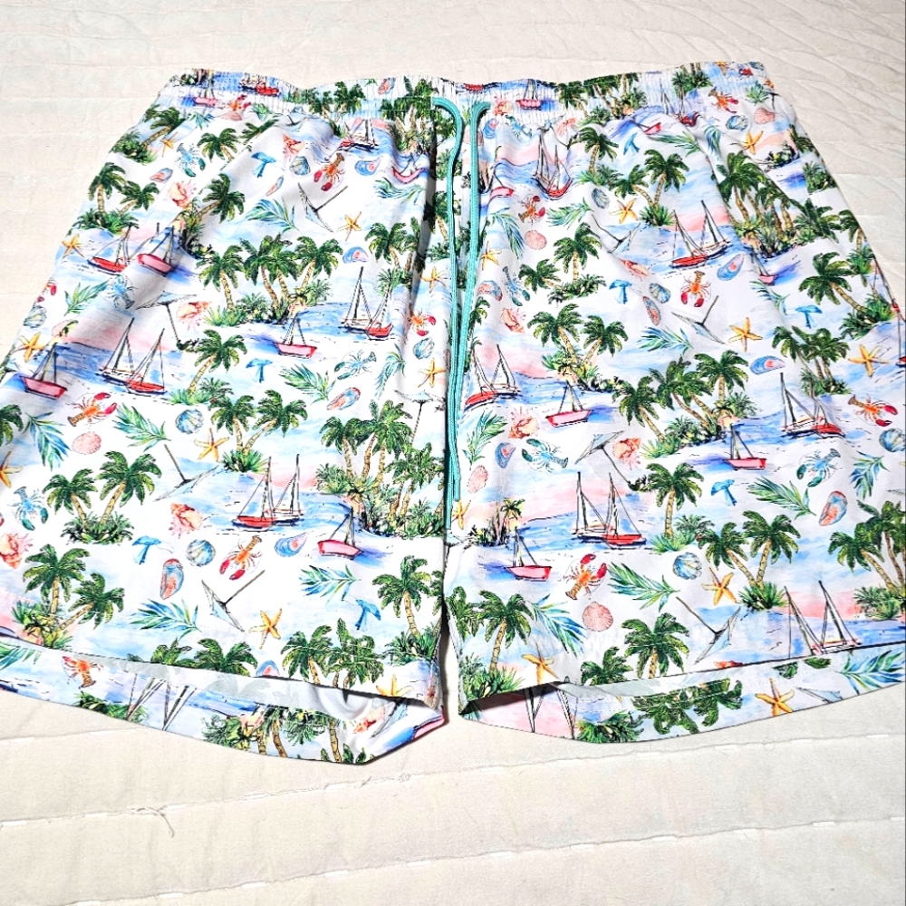 Big and Tall Swim Shorts